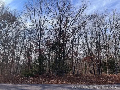 Gravois Mills Land Opportunity
