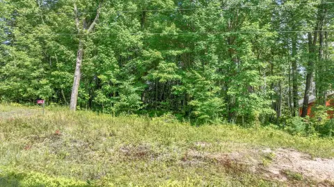 Recreational Hunting Land Tract