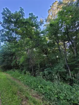 Buildable Recreational Land Lot