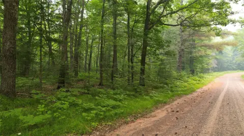 National Forest Border Hunting Land
