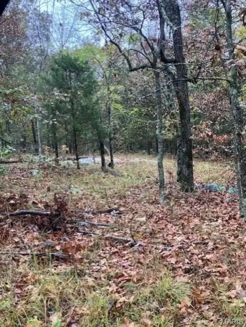 Secluded Wooded Acreage Near National Forest