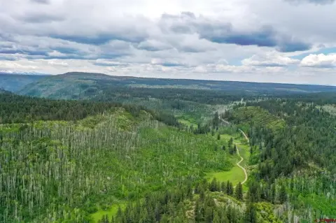 Dolores Land Parcel Near Forest