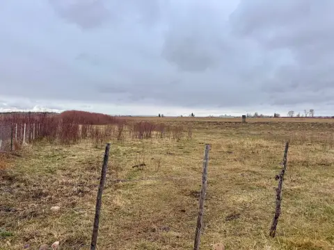 20 Acres of Pasture Land