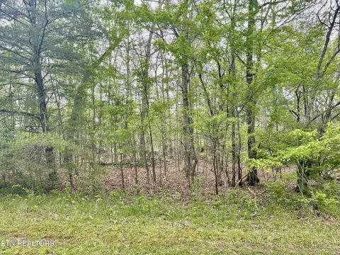 Residential Land in Fairfield Glade