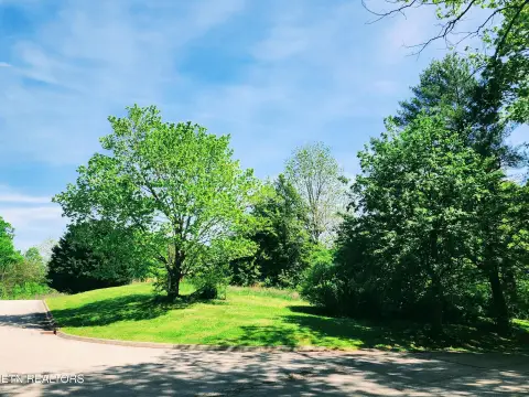 Corner Lot in Whitestone