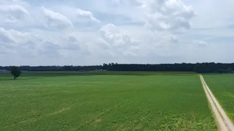Vacant Wooded Land Tract
