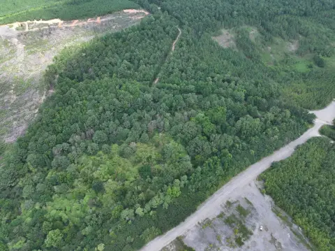 Recreational Timber Land with Homesite