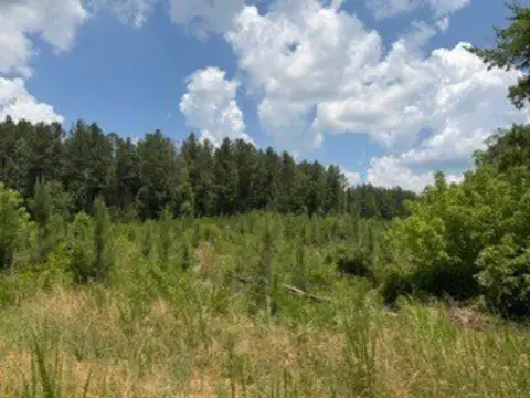 Forested Development Tract with Road Access