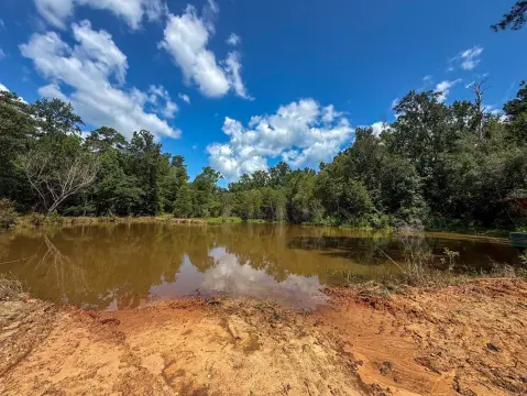 Recreational Timber Tract with Cabin