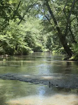 Wooded Waterfront Development Lot