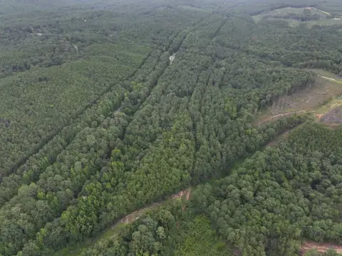 Recreational Timber Land Homesite