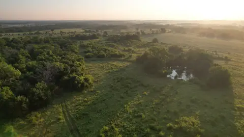 Recreation Hunting Land Tract