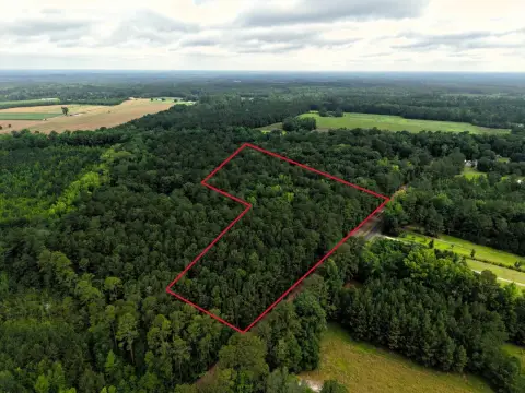 Build-Ready Wooded Parcel