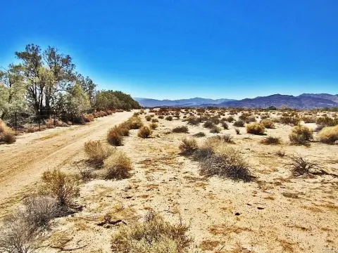Newberry Springs Rural Living Land