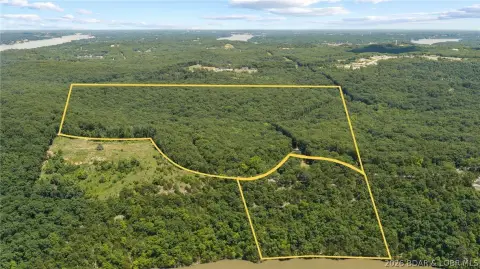 Adjoining Wooded Development Land
