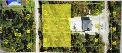 Triple Lot Package in Florida