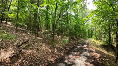 Wooded Land Near Lake Dardanelle