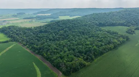 Turnkey Hunting Land with Food Plot