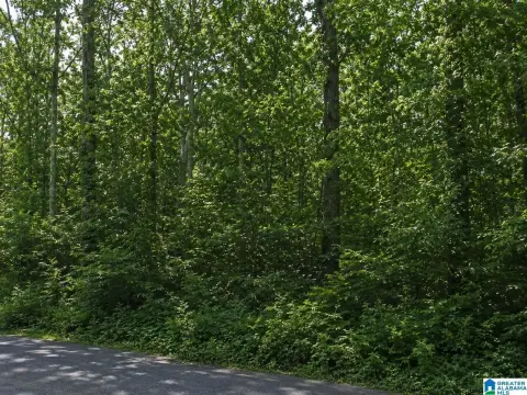 Residential Lot in Woodland Hills