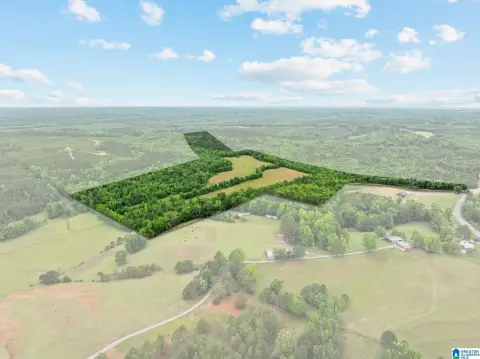 107 Acres in Maplesville, AL