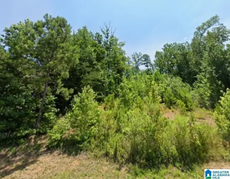 Birmingham Land in Eagle Point