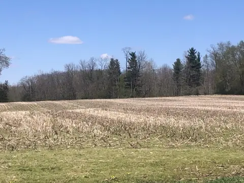 30 Acres in Southern Michigan
