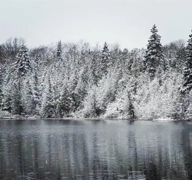 Secluded Riverfront Land Parcel