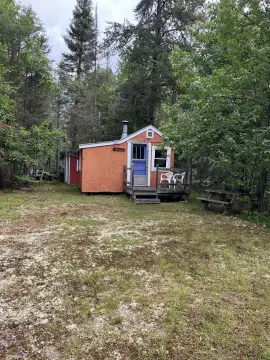 20 Acres with Trapper's Cabin