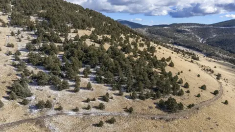 Cripple Creek Vacant Land