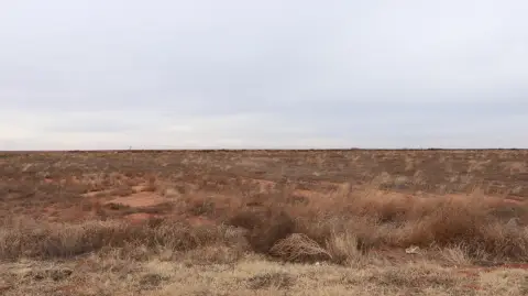 Hockley County 10-Acre Tract