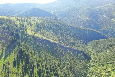 Recreational Hunting Land Tract
