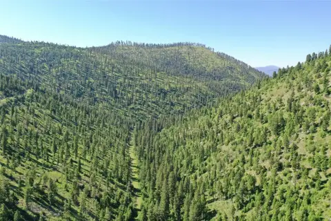 Hunting Land with Stream and Seasonal Springs