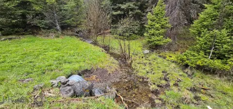 Recreational Land with Building Sites