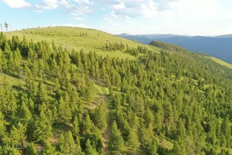 Recreation Hunting Land Tract