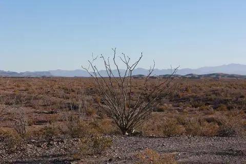 Presidio County Land For Sale