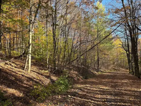 Land on Snowmobile Trails