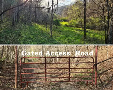 Mature Wooded Hunting Land