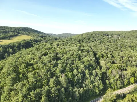 Hunting Land with Creek