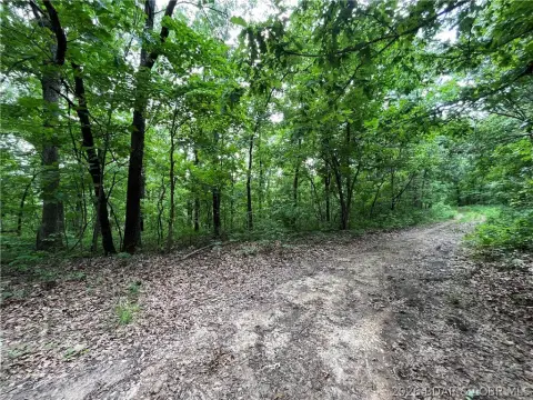 Secluded Land Near Lake Ozarks