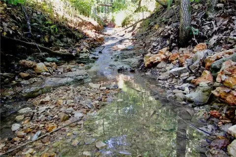 81.99 Acres Near Beaver Lake