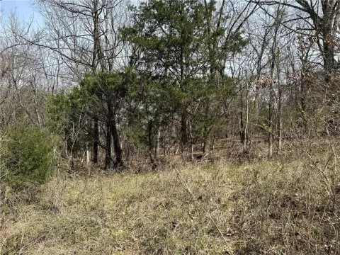 Lowell, AR Wooded Lot