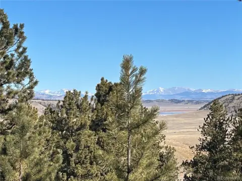 Treed Land with Mountain Views