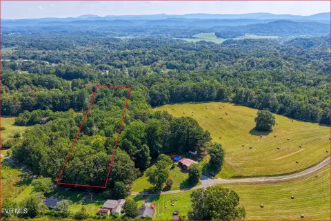 Secluded Wooded Land in Rogersville