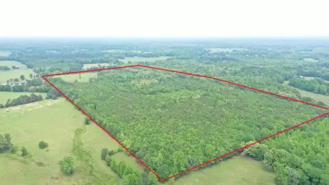 Pineywoods Tract with Development Potential