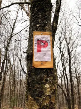 Land in Wilmington, Vermont