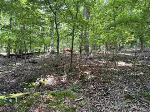 Lakefront Residential Lot Opportunity