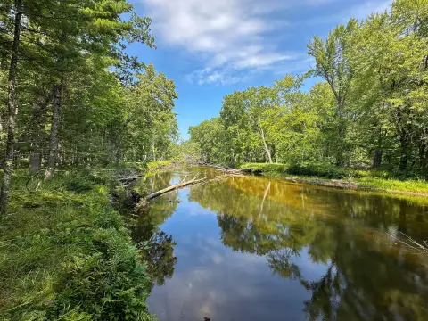 51+ Acres on Muskegon River