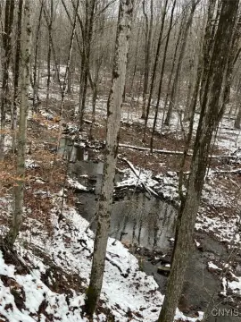 20 Acres Hunting and Recreational Land