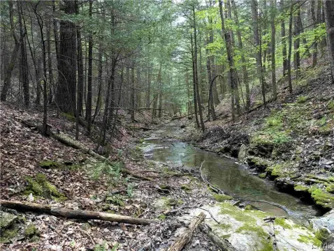 Recreation Land with Stream