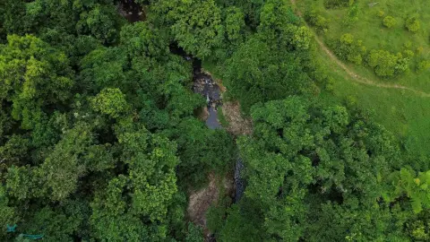 Highway Accessible Farm with Stream